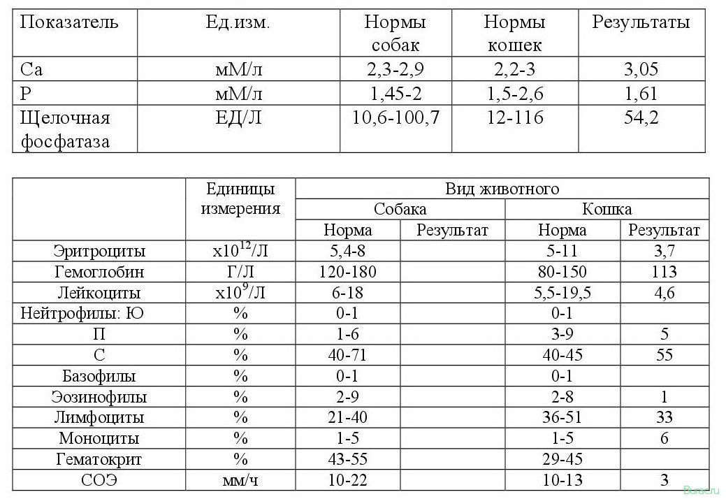 повышена, щелочная