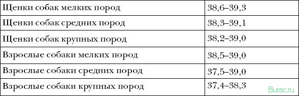 обычная, температура, собак