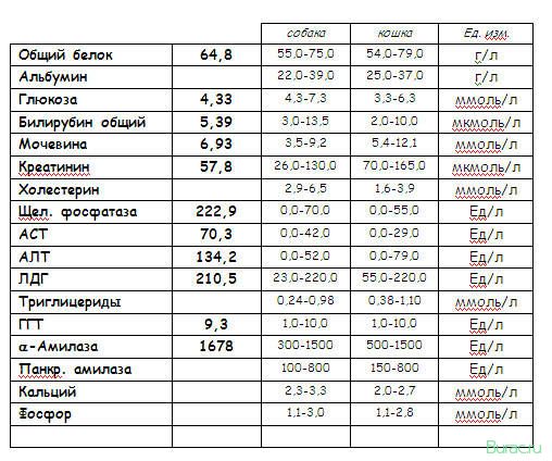 повышенные, показатели