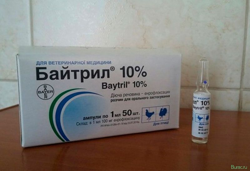 байтрил, собак, окончании введения байтрил, собак, окончании введения