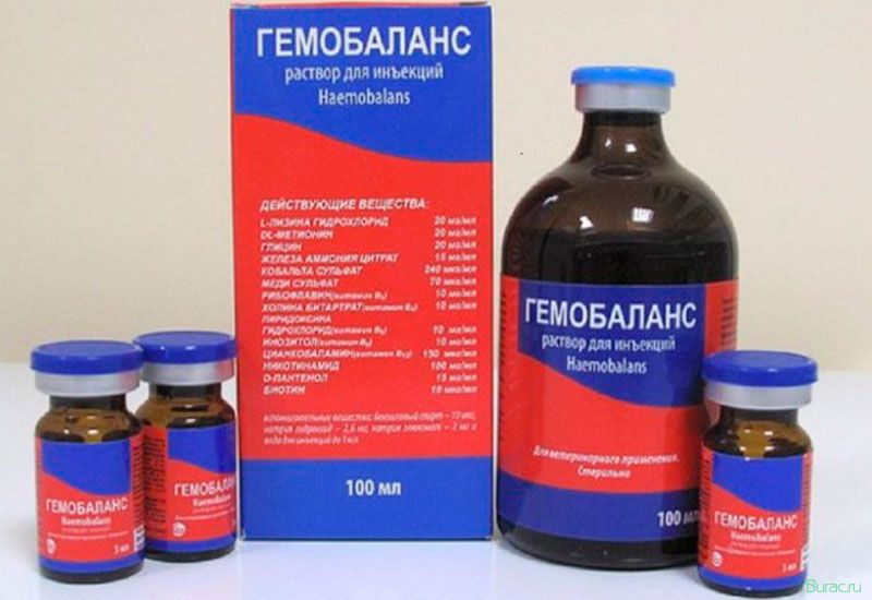 гемобаланс, собак, комплексной терапии