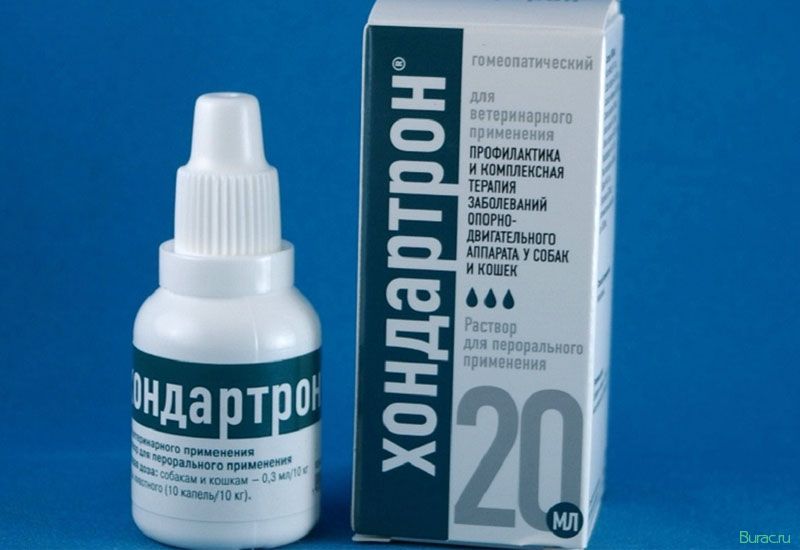 хондартрон, собак