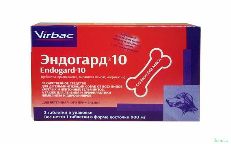 эндогард, собак