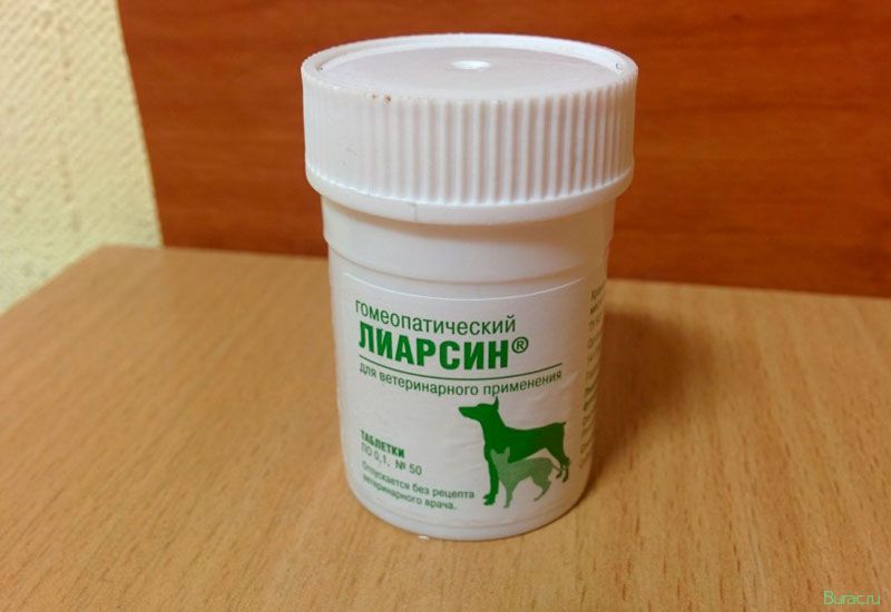 лиарсин, собак