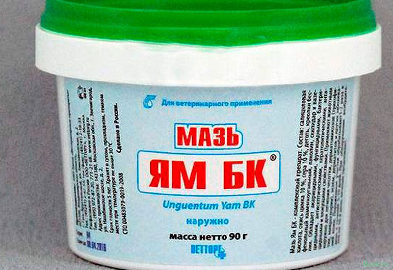 мазь, собак
