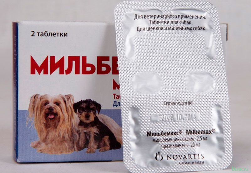 мильбемакс, собак, окончании приема