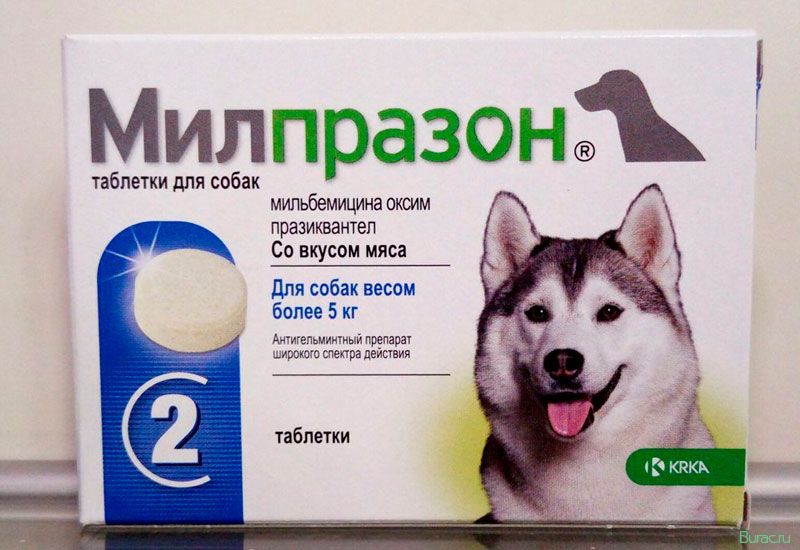 милпразон, собак