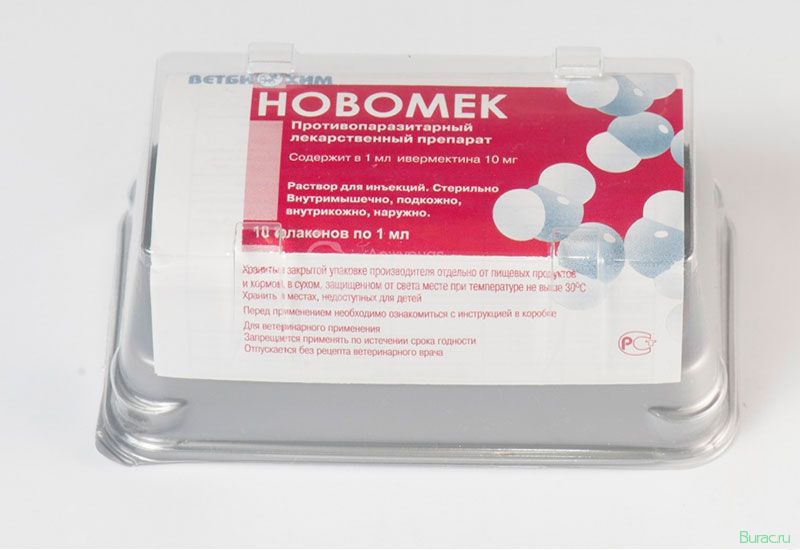 новомек, собак