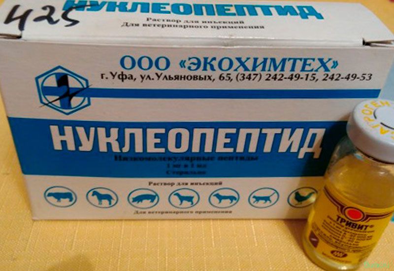 нуклеопептид, собак, массы тела нуклеопептид, собак, массы тела