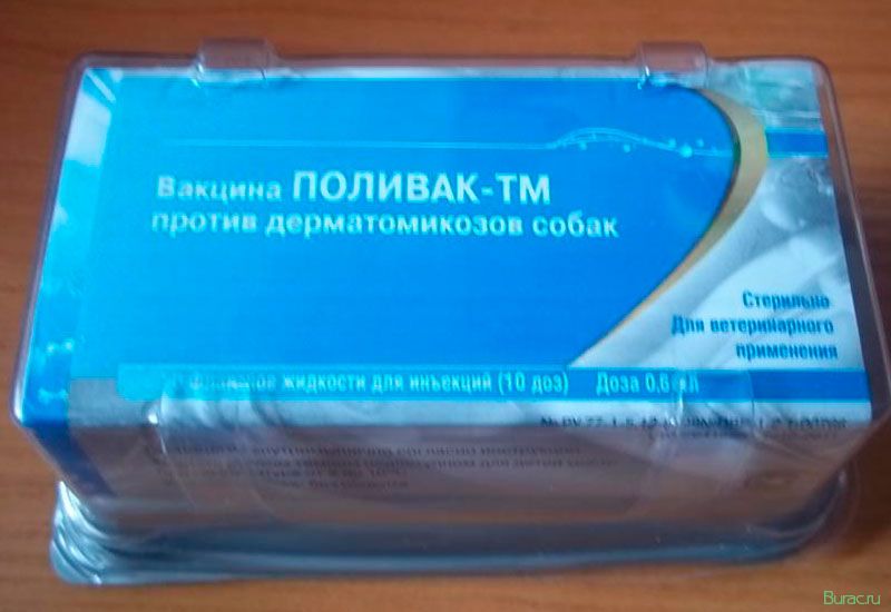 поливак, собак поливак, собак