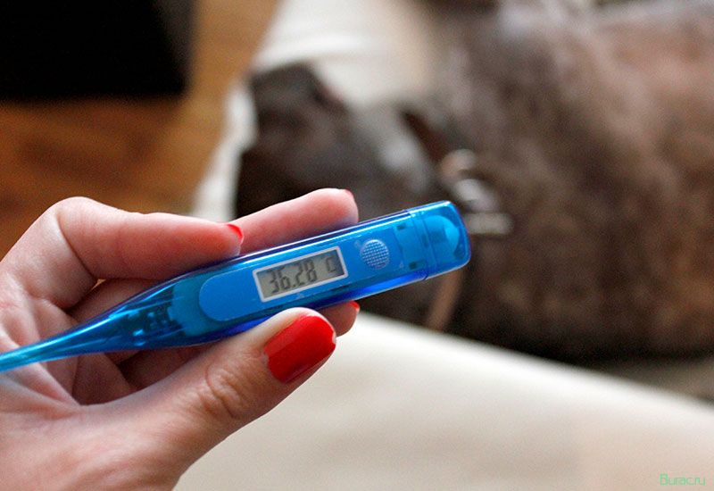 пониженная, температура