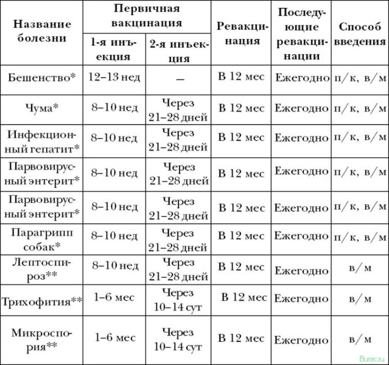 какое, количество, делают
