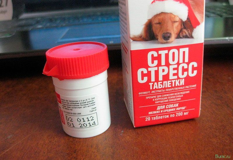 стоп, стресс