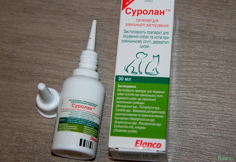 суролан, собак