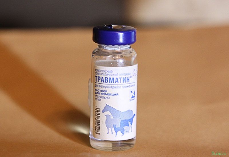 травматин, собак, собака